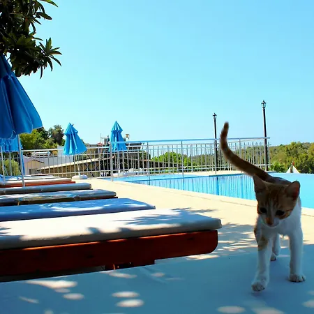 Sun Club