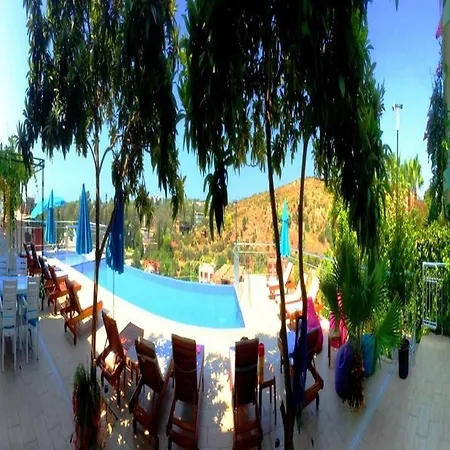 فندق Sun Club 2*